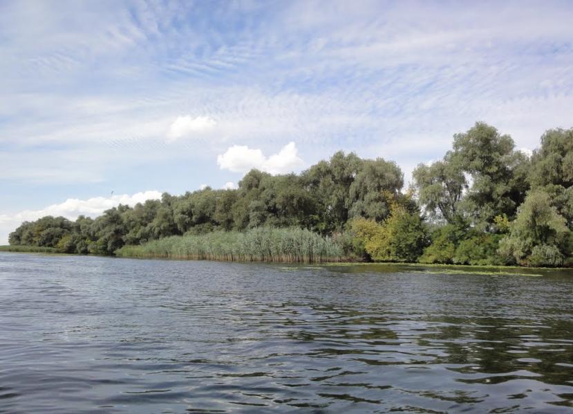 Куйбишеве з panoramio.com - Куйбишеве