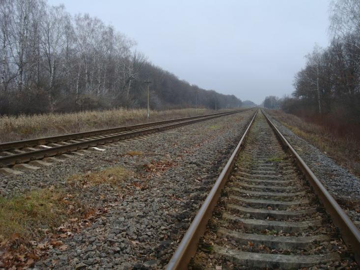 Воронківці з panoramio.com - Воронковцы