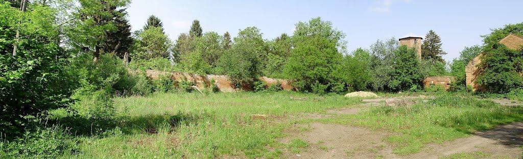 Черниця з panoramio.com - Черниця