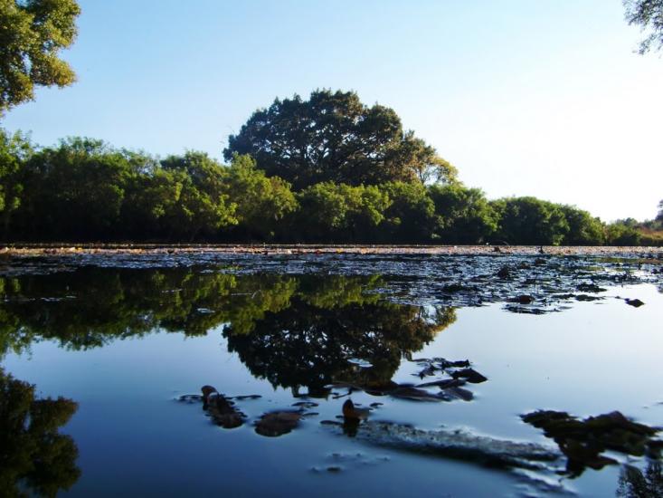 Самусіївка з panoramio.com - Самусевка