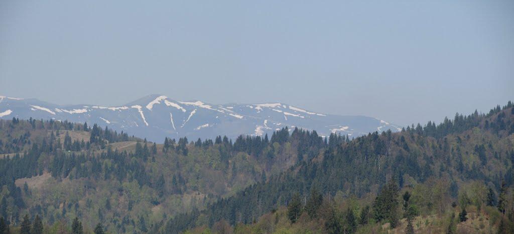 Стригальня з panoramio.com - Strygalnya