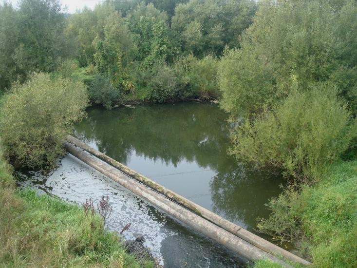Кам'янка з panoramio.com - Каменка