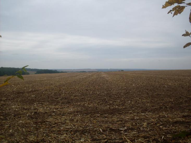 Кисляк з panoramio.com - Kyslyak