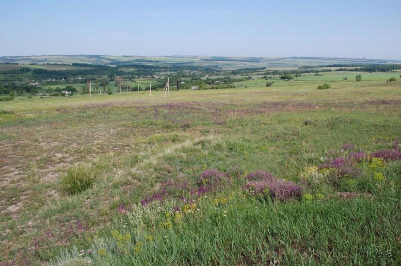 Миколаївка з panoramio.com - Миколаївка