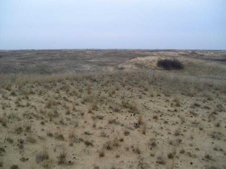 Великі Копані з panoramio.com - Великие Копани