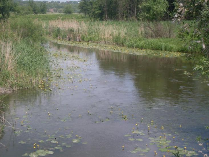 Кисляк з panoramio.com - Кисляк