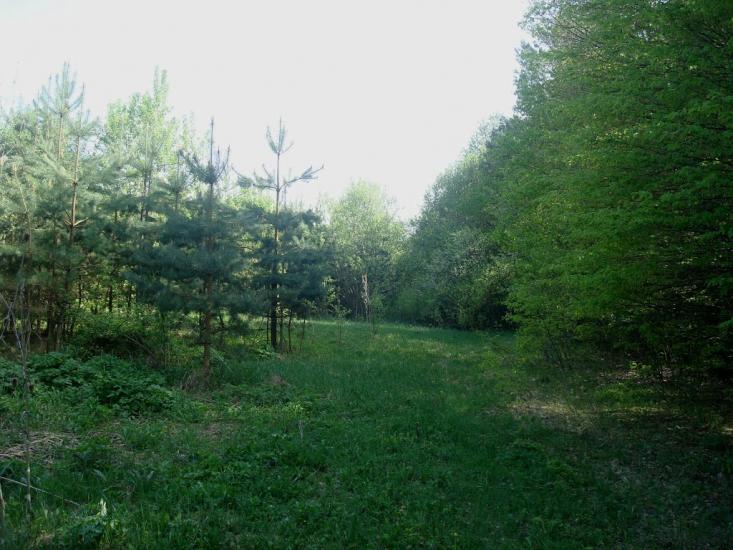 Любомирівка з panoramio.com - Любомировка