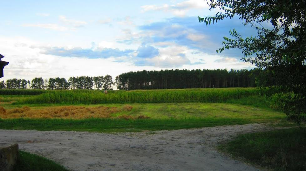 Велика Димерка з panoramio.com - Великая Дымерка