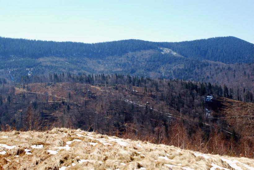 Букове з panoramio.com - Букове