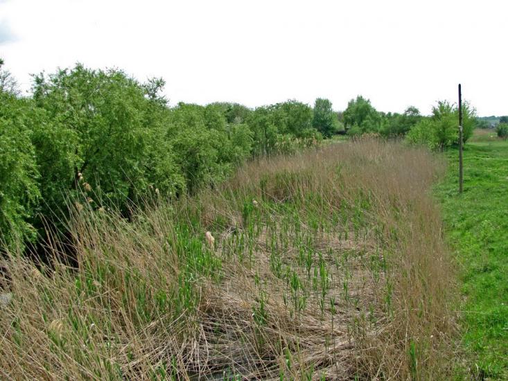 Кринички з panoramio.com - Кринички