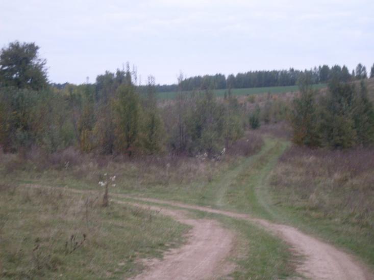 Кунка з panoramio.com - Кунка