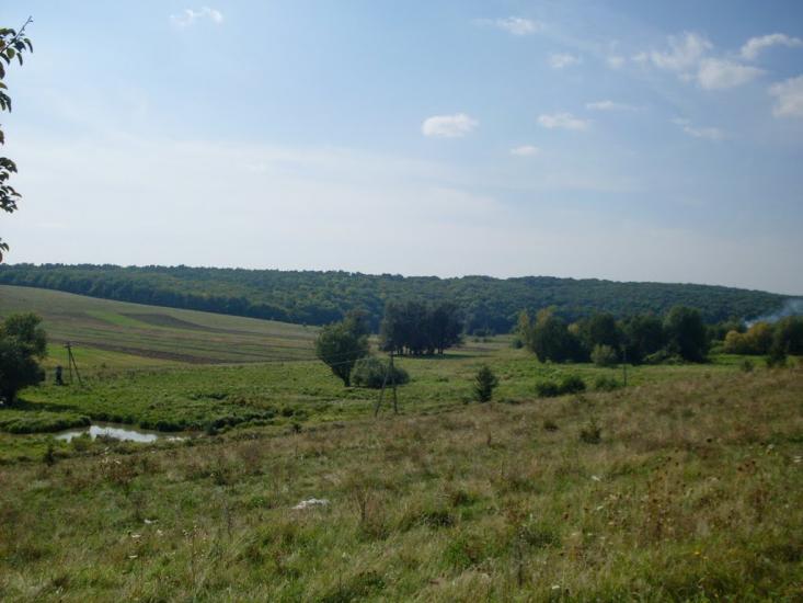 Бережне з panoramio.com - Бережное