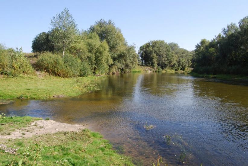 Говтва з panoramio.com - Govtva