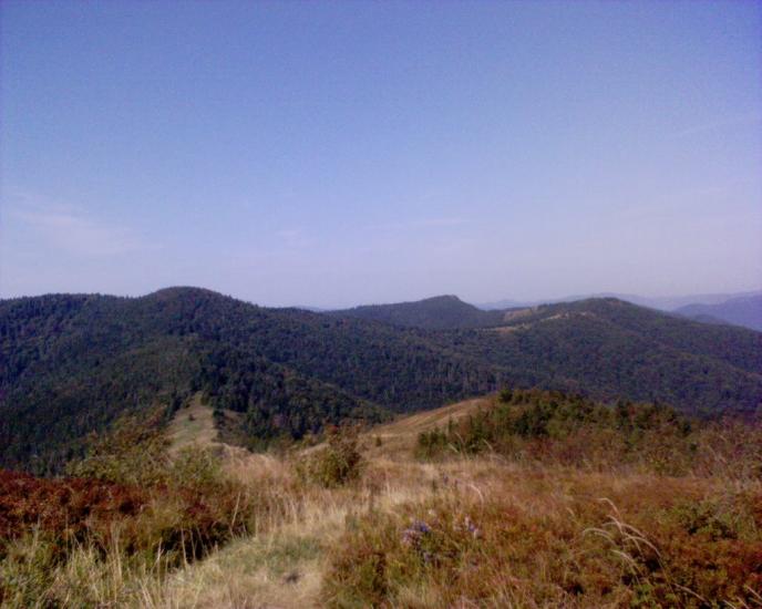 Кам'янка з panoramio.com - Каменка
