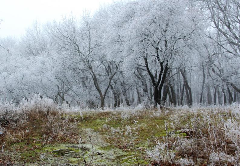 Сєверне з panoramio.com - Syeverne