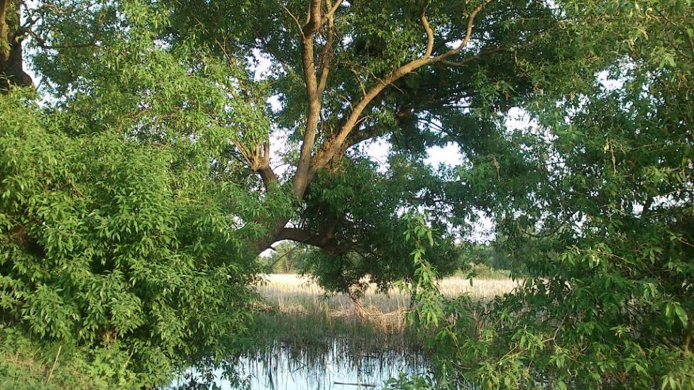 Ярешки з panoramio.com - Ярешки