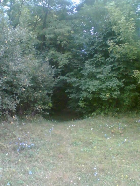 Сінне з panoramio.com - Сенное