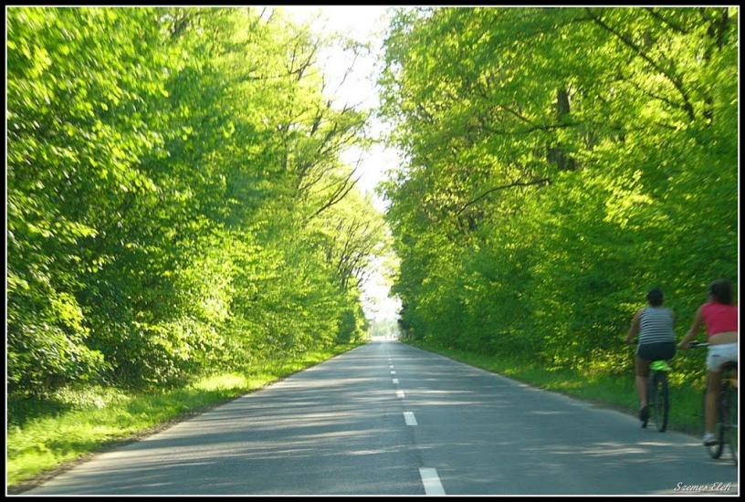 Бадалово з panoramio.com - Бадалово