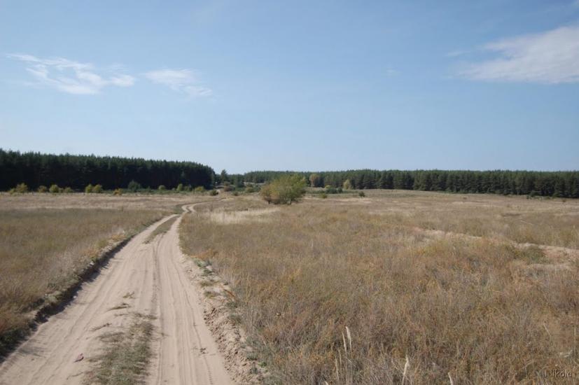Боровеньки з panoramio.com - Боровеньки