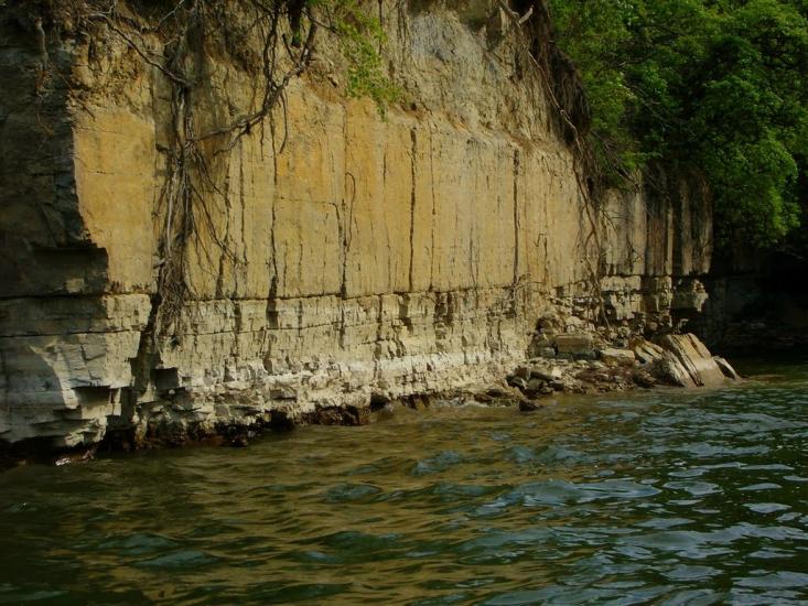 Коновка з panoramio.com - Коновка