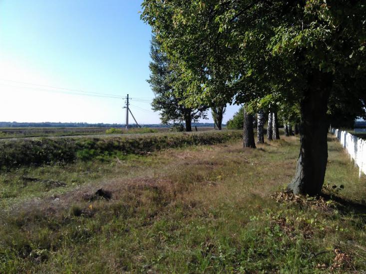 Щітки з panoramio.com - Щитки