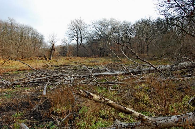 Шипилівка з panoramio.com - Shypylivka