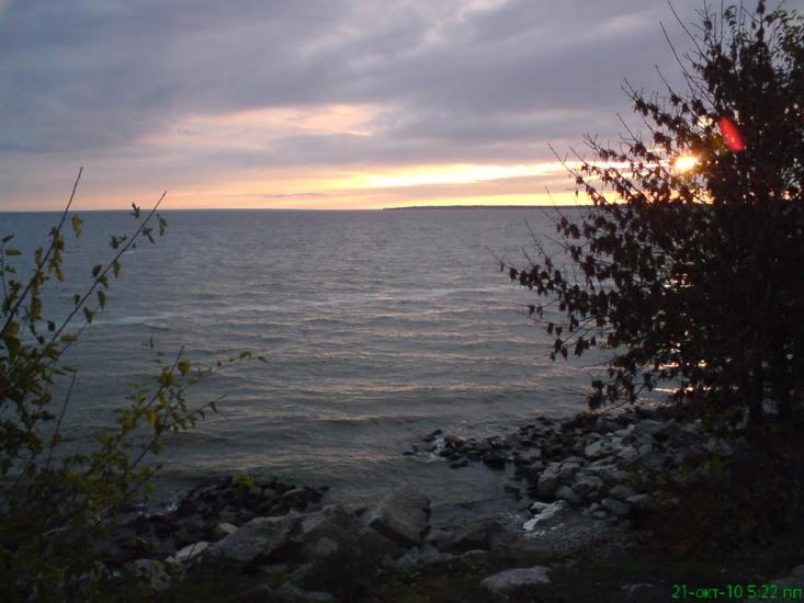 Менжинське з panoramio.com - Менжинское