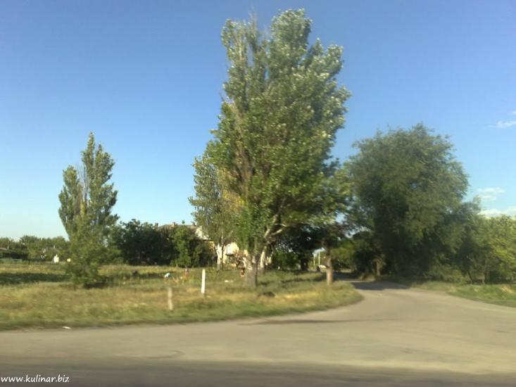 Кам'янське з panoramio.com - Kamyanske