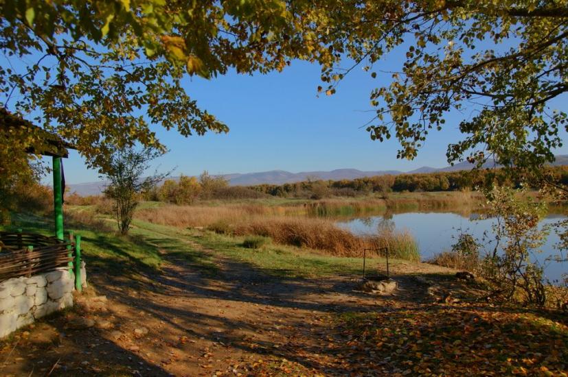 Родниківське з panoramio.com - Rodnykivske