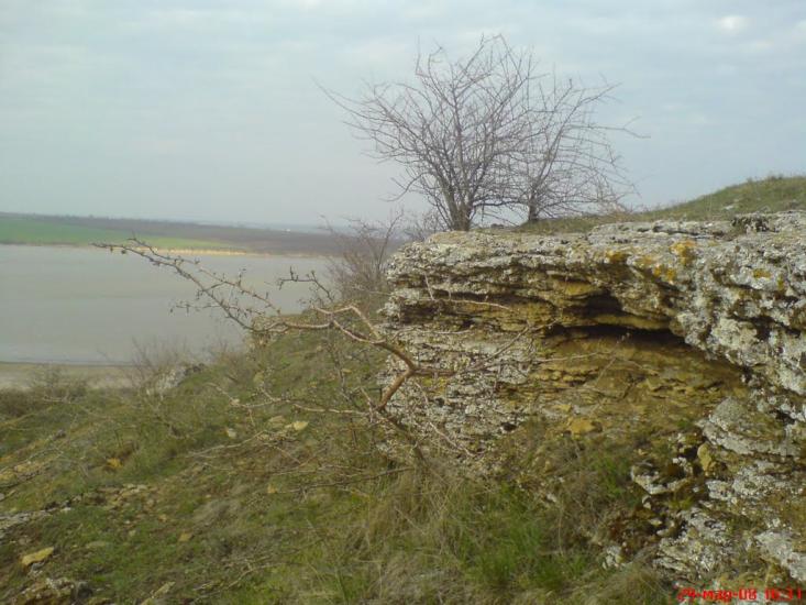 Алтестове з panoramio.com - Altestove