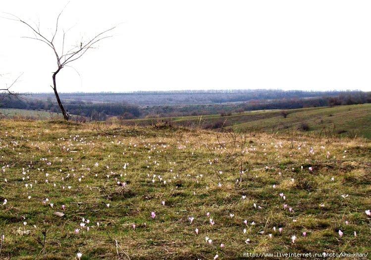 Високогірне з panoramio.com - Високогірне