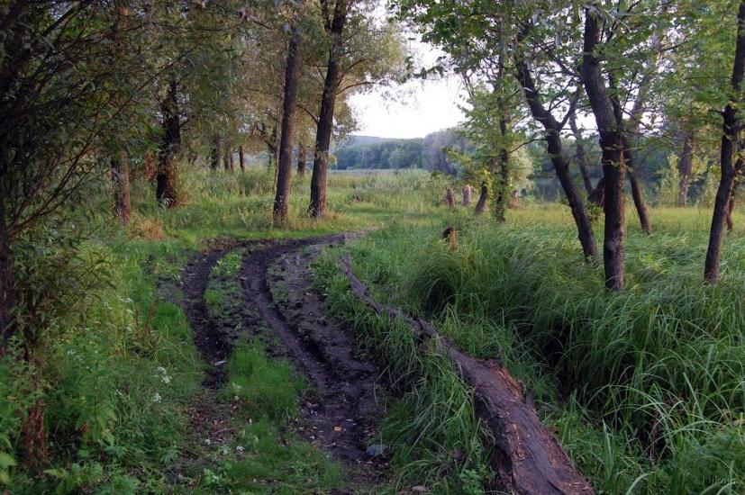 Рубіжне з panoramio.com - Рубежное