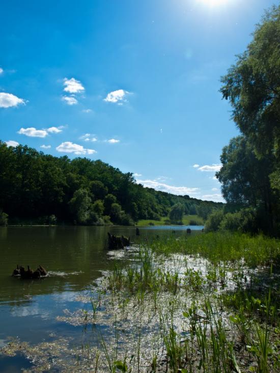 Бідряги з panoramio.com - Бедряги