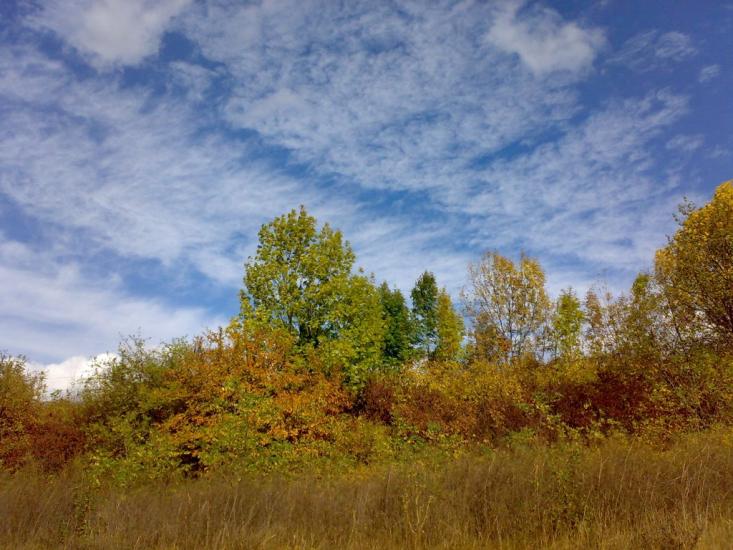Юрківці з panoramio.com - Юрковцы