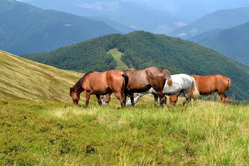 Руська Мокра з panoramio.com - Русская Мокрая