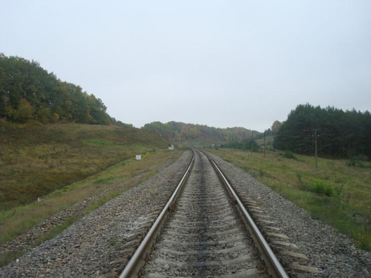 Малиничі з panoramio.com - Малиничи