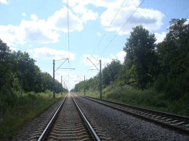 Червоний Цвіт з panoramio.com - Червоний Цвіт