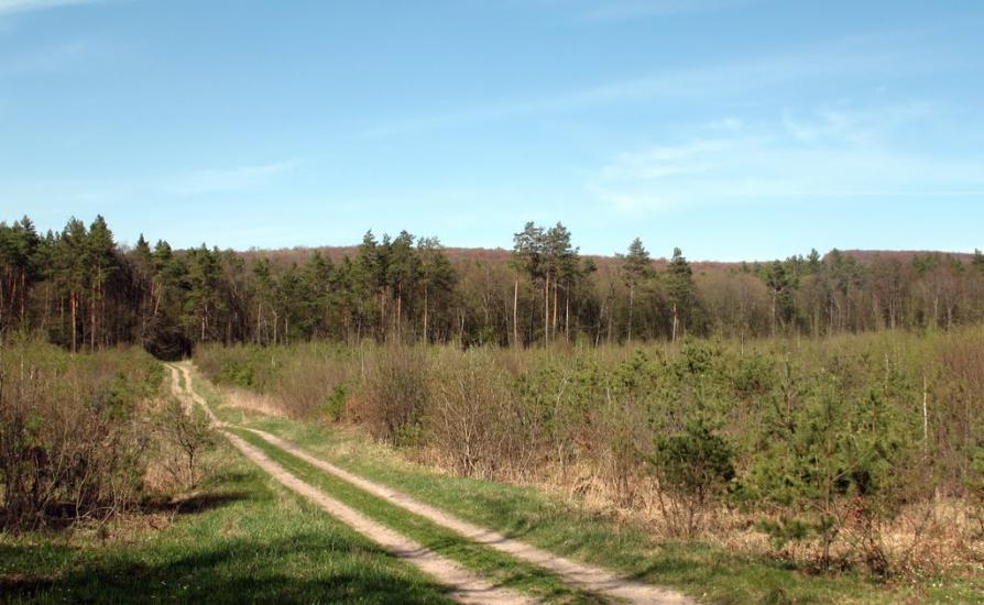 Руда-Колтівська з panoramio.com - Руда-Колтівська