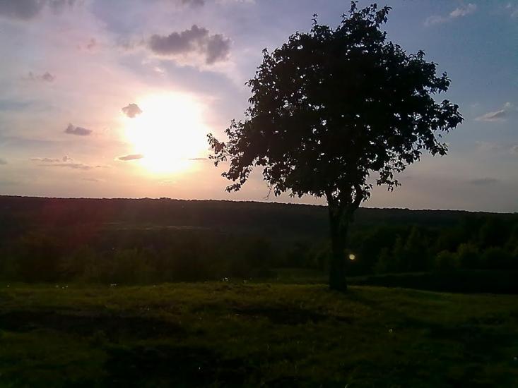 Володимирівка з panoramio.com - Володимирівка