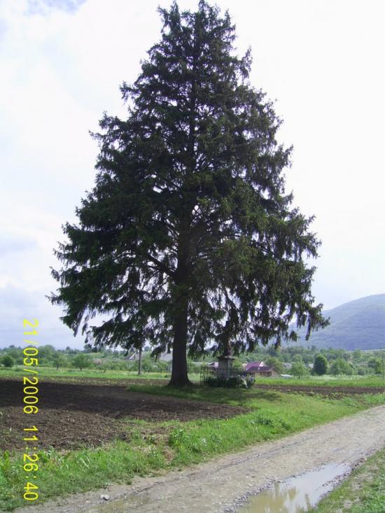 Ворочово з panoramio.com - Ворочево