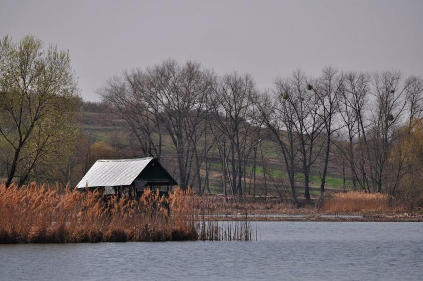 Сквира з panoramio.com - Сквира
