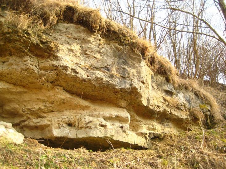 Давидів з panoramio.com - Давидів