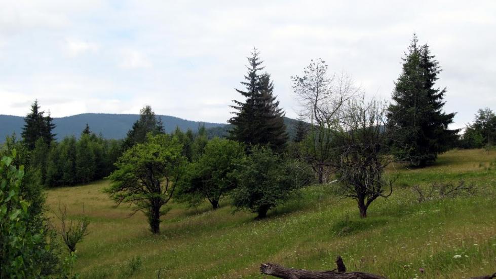 Букове з panoramio.com - Букове
