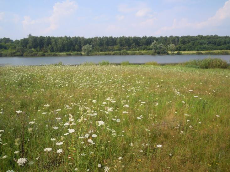 Ізяслав з panoramio.com - Izyaslav