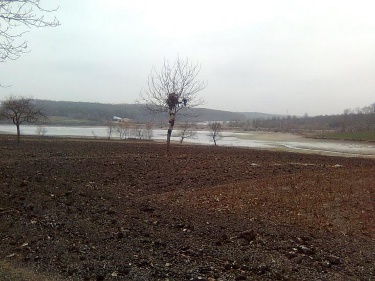 Росоховата з panoramio.com - Росоховата
