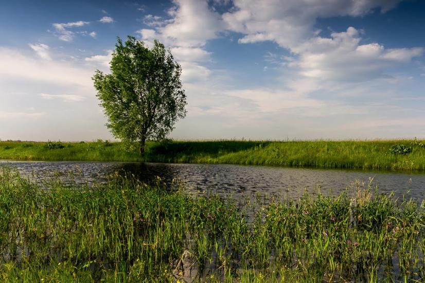 Єньків з panoramio.com - Еньков