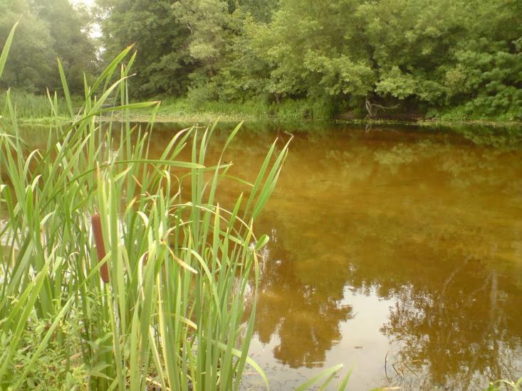 Лабурівка з panoramio.com - Лабуревка