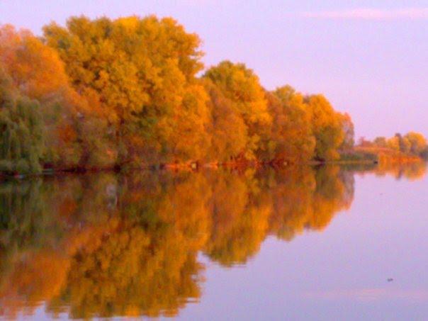 Голодьки з panoramio.com - Голодьки