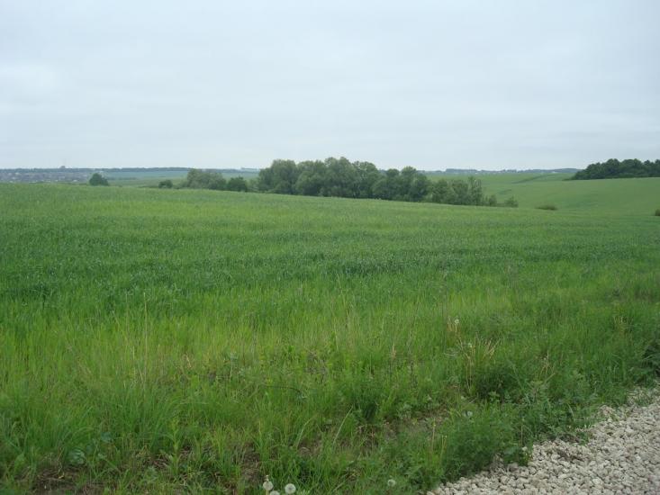 Мацьківці з panoramio.com - Мацьковцы