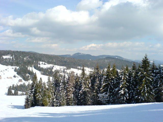 Погар з panoramio.com - Погар